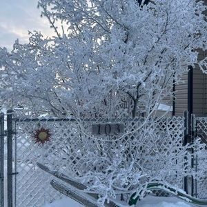 Meet your Posher, Charity